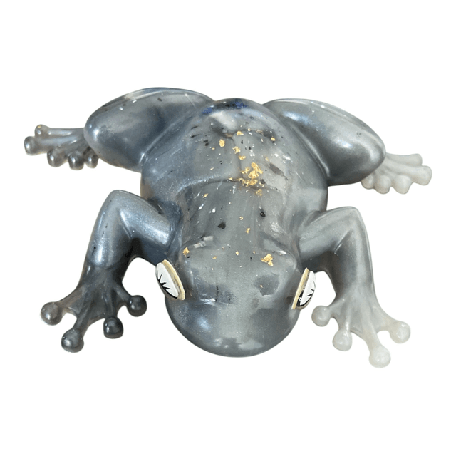 La Grenouille du Destin