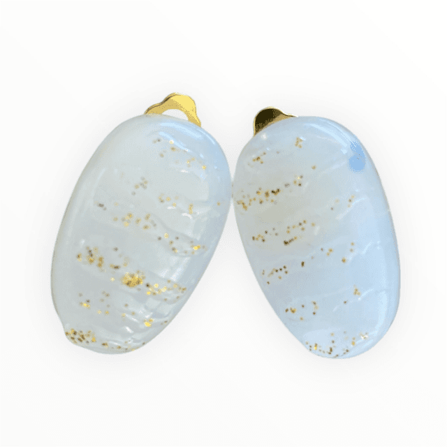 Boucles d&#039;oreilles à clip    
